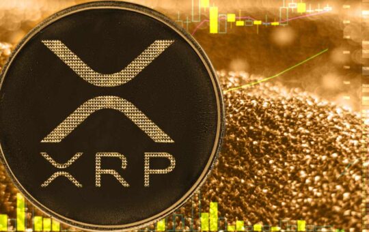 XRP Treasury Strategy by Vivopower Advances With Bitgo Support